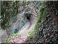 ST5296 : North entrance of the Giant's Cave by Roy Parkhouse