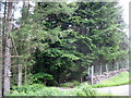 Entrance to the driveway leading to Ty Mawr and the Gwynfynydd Gold Mine