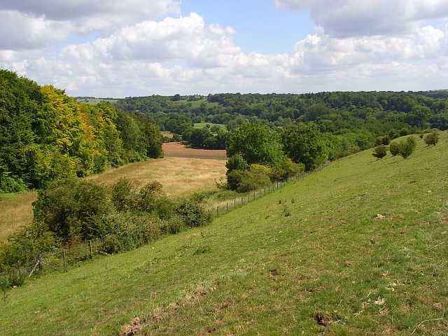 Downland and woods, Woodford