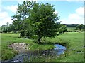 Feeder stream to Afon Einion