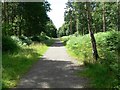 Martinshaw Wood near Groby