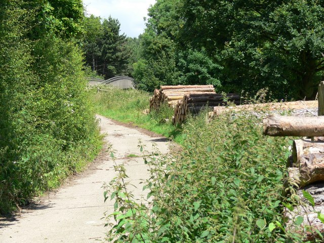 Path to Martinshaw Wood