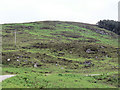 NC6036 : Bracken on the hillside by RH Dengate