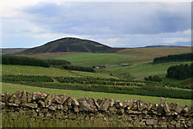 NT6657 : View south east from Whinrig Hill, Lammermuirs by Lisa Jarvis