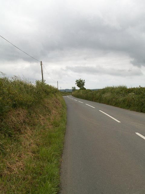 Looking north along the road