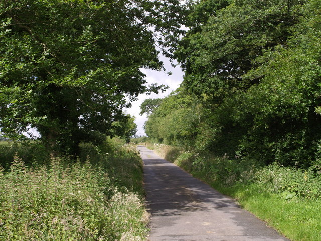 Lane past Whiddon Moor