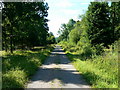 Track south through Bentley Wood