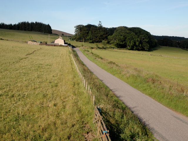 Fields and Road Looking Towards Airlie