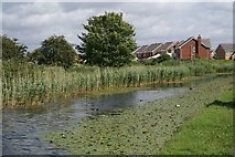 SJ3999 : Leeds-Liverpool Canal at Waddicar by Mike Pennington