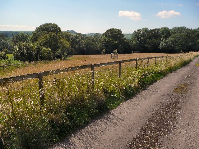 Meadow alongside the road to Lodge Farm