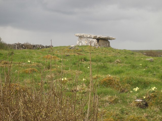 Poulaphuca Megalithic Wedge Tomb