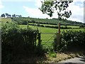 Footpath to Aston Hill, Wallop