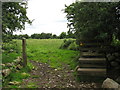 SH5668 : Disused concrete stile and open gate on footpath behind Ty-newydd by Eric Jones