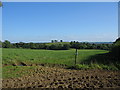 Farmland off Copplesbury Lane