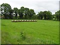 Trillick Townland, County Fermanagh