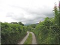 Minor road to Caerhun