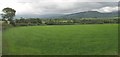 A field of cultivated grass