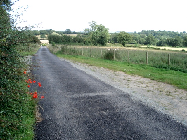 Farm track to Kyrebatch Farm