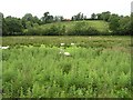 Corraglass Townland