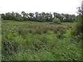 Derryscobe Townland