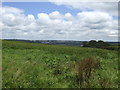 Looking north towards Bodmin and the Moor