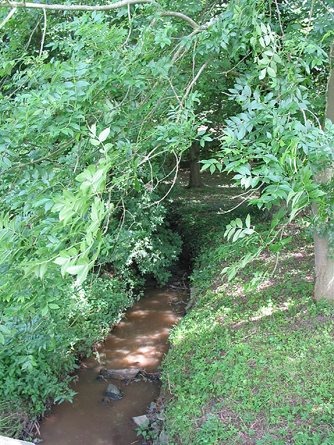 Stream through Aston Ingham
