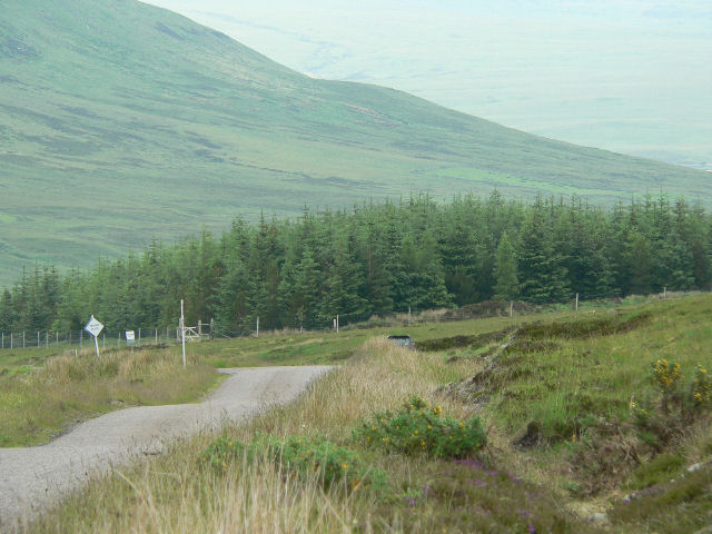 Forest to north of Cnoc Staing