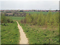 Darfield from former site of Dearne Valley Colliery.