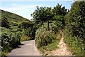 The Coast Path in the Cot Valley