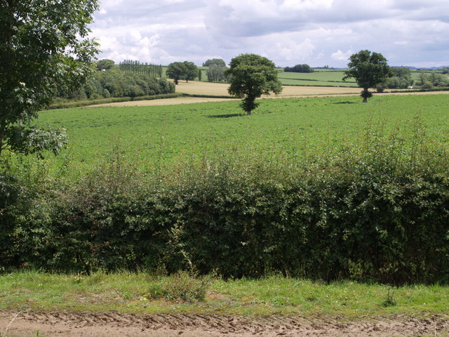 Fields beside the A303