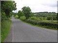 Road at Cluntyganny