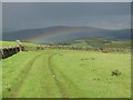 NT3132 : Traquair Rainbow by Callum Black