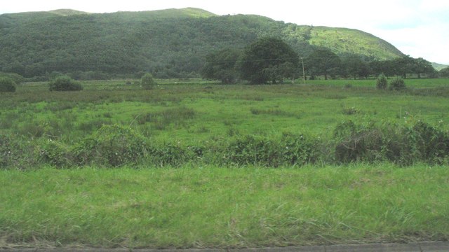 Drained wetlands in the lower Dwyryd Valley