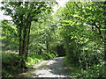 The Capel Hermon-Cwmheisian road above Buarthre