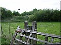 Owl box on the former railway line