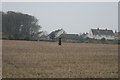 Cannon Field Solva