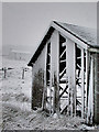 Snowy barn