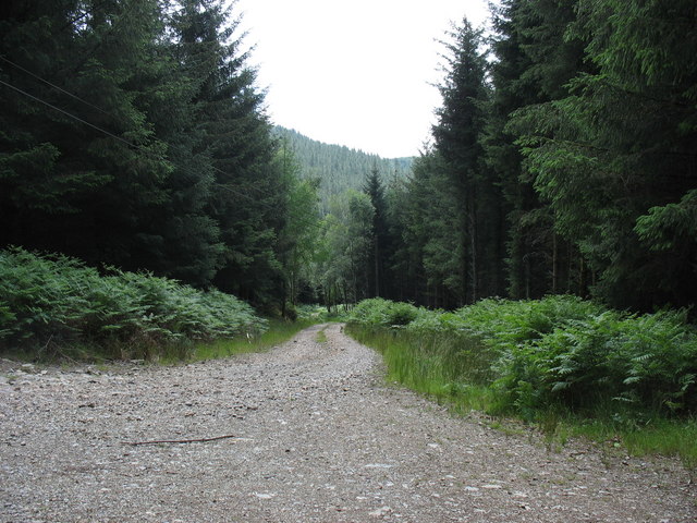Forest track linking the Bwlch Garw and Mawddach forestry roads