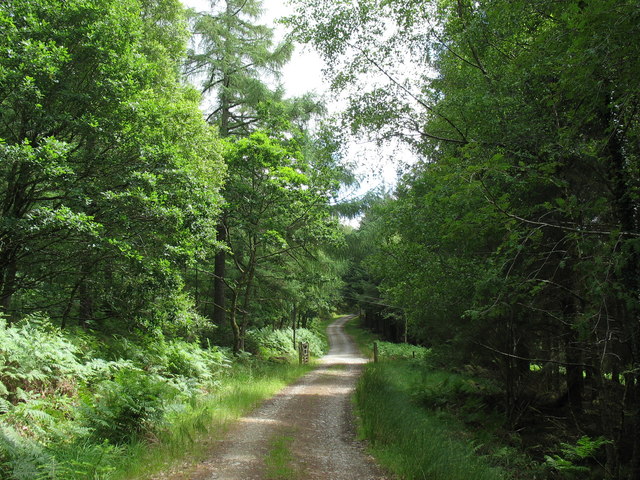 The Bwlch Garw forestry road