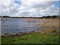 Derryadd Lake