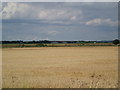 Fields towards the M180