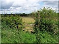 Footpath To Ruthall