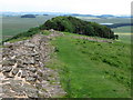 NY8070 : Hadrian's Wall above Sewingshield Crags by Mike Quinn