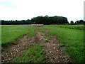 Field Off Somertonfield Road