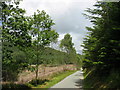 Approaching a bend in the Cwmheisian road