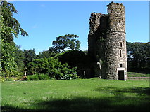 NJ5414 : Asloun Castle by Richard Paxman