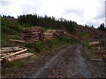 NX4772 : Timber stack on unmapped forest road by Mark McKie