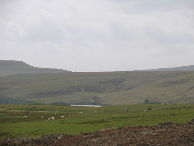 Bryn-Oer Patch