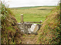 Stone slab stile near Penpethy