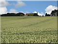 NY9961 : Arable land below Dipton Cottage by Mike Quinn
